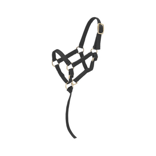 Miniature Nylon Halter - Pittsboro Feed