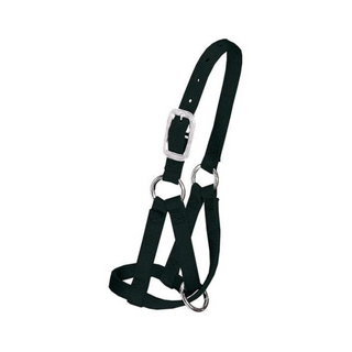 Llama Halter - Pittsboro Feed