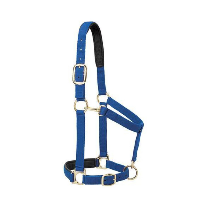 Padded Adjustable Chin & Throat Snap Halter
