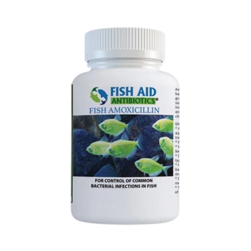 Fish Mox Amoxicillin 250mg