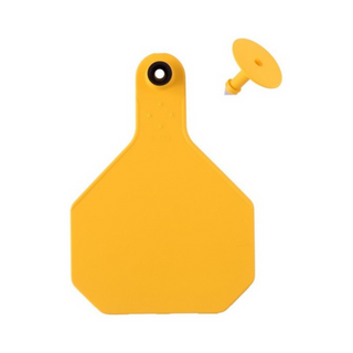 Ear Tags Blank - Pittsboro Feed