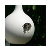 Purple Martin Gourd Bird House