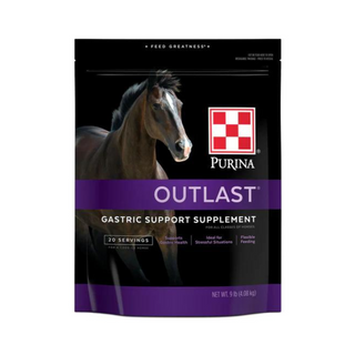 Purina Outlast Gastric Support Supplement - Pittsboro Feed