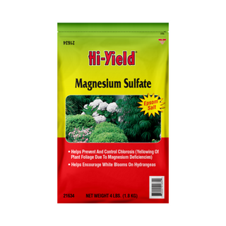 Magnesium Sulfate