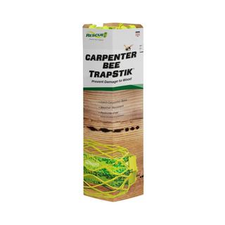 Rescue TrapStick Carpenter Bee Trap