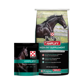 Purina Amplify High-Fat Horse Supplement - Pittsboro Feed