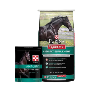 Purina Amplify High-Fat Horse Supplement