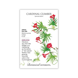 Cardinal Climber