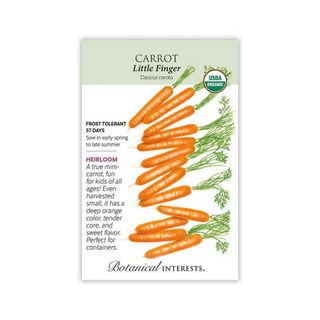 Carrot (Orange) Little Finger Organic