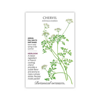 Chervil