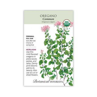 Oregano Common Organic