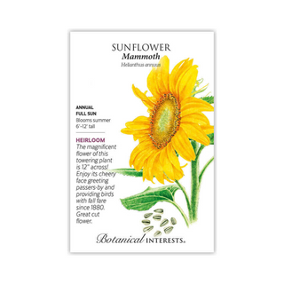 Sunflower Mammoth