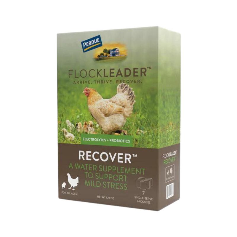 FlockLeader Recover Poultry Supplement