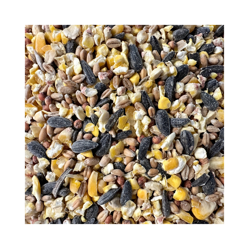 5 Grain Scratch Grains Chicken Treats