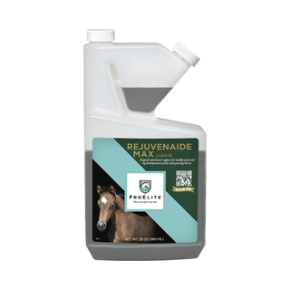 ProElite Rejuvenaide Max Liquid Supplement - Pittsboro Feed