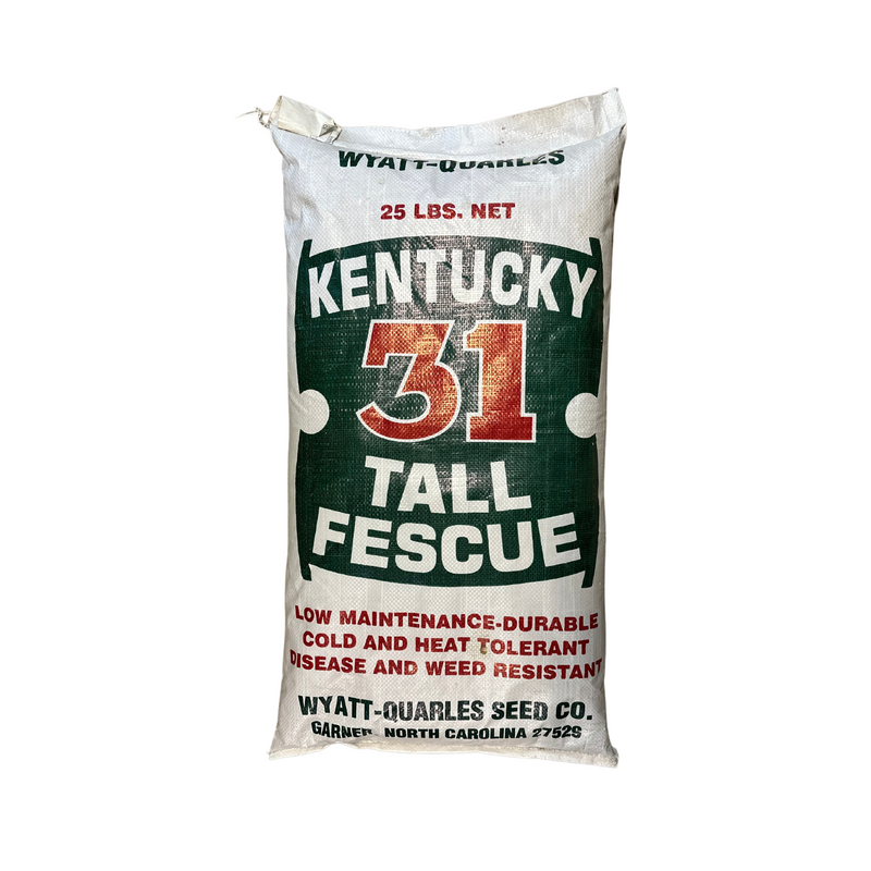 Kentucky 31 Fescue Grass or Pasture Seed