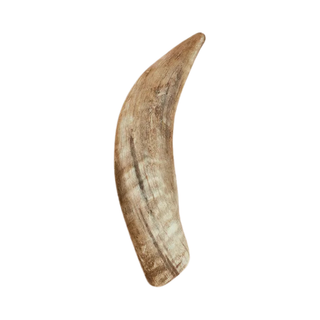 Canophera Sheep Horn Dog Toy Chew