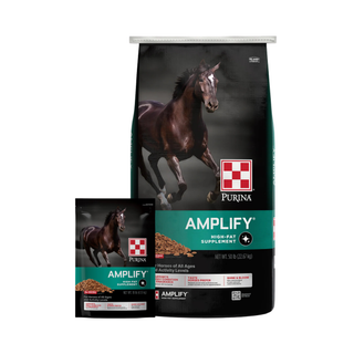 Purina Amplify High-Fat Horse Supplement