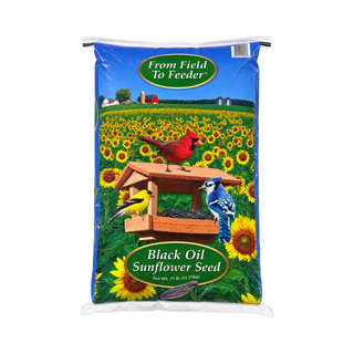 Black Oil Sunflower Bird Seed