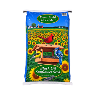 Black Oil Sunflower Bird Seed