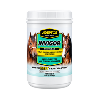 Invigor Prebiotic Digestion Formula