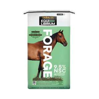 Tribute Equi-Librium Forage