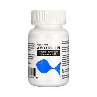 Fish Mox - Amoxicillin