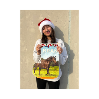 Donation Stocking Feed Bag