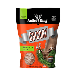 Antler King Chicory Deer Food Plot
