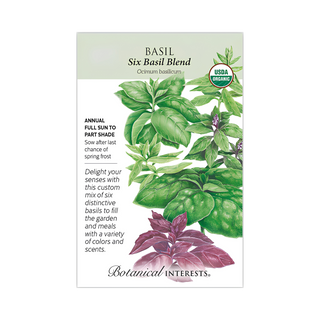 Basil Six Basil Blend Organic