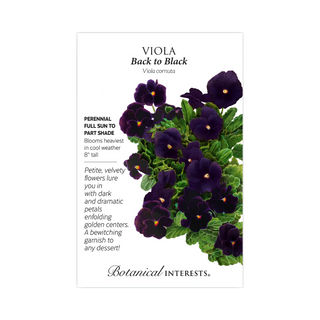 Viola Back To Black