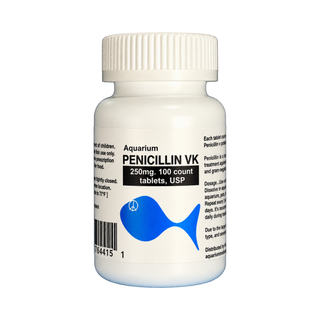 Fish Pen - Penicillin