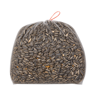 Striped Sunflower Seed