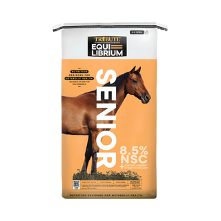Tribute Equi-Librium Senior