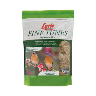 Lyric Fine Tunes No Waste Mix