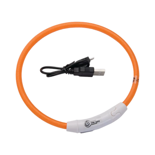 Coastal USB Light-Up Neck Ring