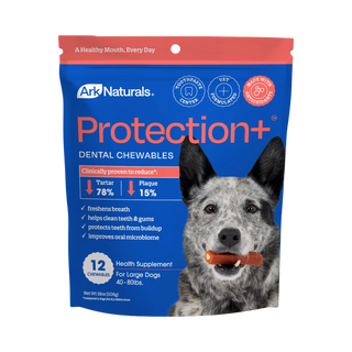 Ark Naturals Protection Plus Brushless Toothpaste