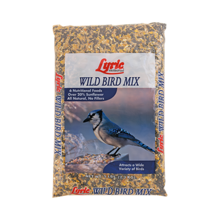 Lyric Wild Bird Mix
