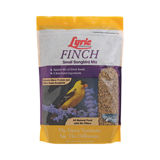 Lyric Finch Small Songbird Wild Bird Mix