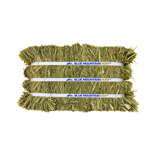 Blue Mountain Hay Teff Compressed Hay Bale