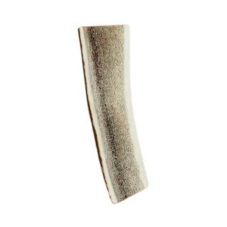 Canophera Red Deer Split Antler