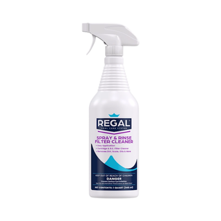 Spray and Rinse Filter Cleaner