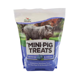 Manna Pro Mini Pig Berries & Cream Treats