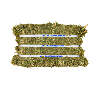 Blue Mountain Hay Orchard Compressed Hay Bale
