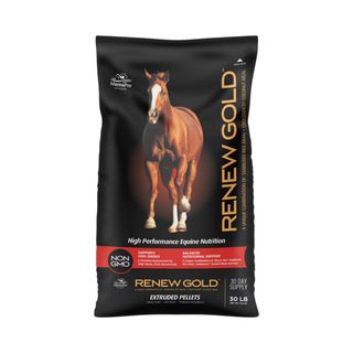 Manna Pro Renew Gold Horse Supplement