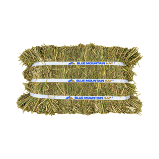 Blue Mountain Hay Timothy Compressed Hay Bale