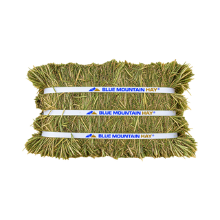 Blue Mountain Hay Alfalfa Compressed Hay Bale