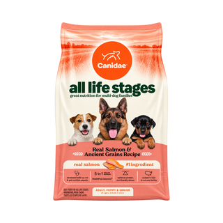 Canidae All Life Stages Real Salmon & Ancient Grain Dry Dog Food