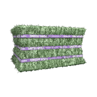 Standlee Premium Timothy Compressed Hay Bale