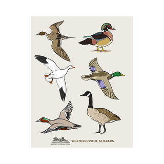 Waterfowl Weatherproof Sticker Sheet